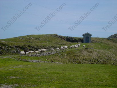 Pecore al pascolo attorno al Rifugio.