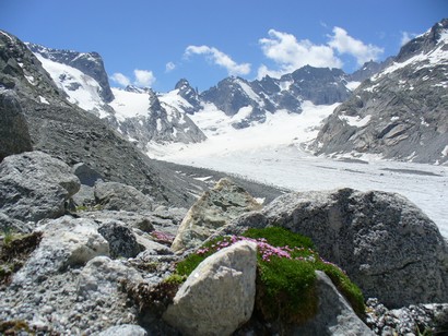 Vista sul ghiacciaio del Forno.