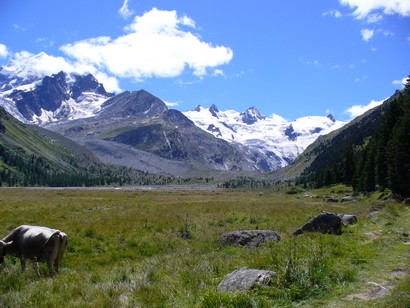 Piana della Val Roseg con ghiacciai Tscherva e Roseg.
