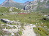 La piana prima di arrivare al Lago del Bernina.
