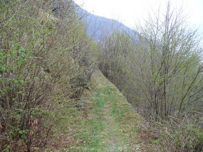 Passaggio su sentiero erboso nei pressi di Vestreno.
