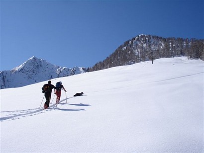 Beba batte la traccia. Domenico e Lorenzo durante la salita  dei prati di Gavet.