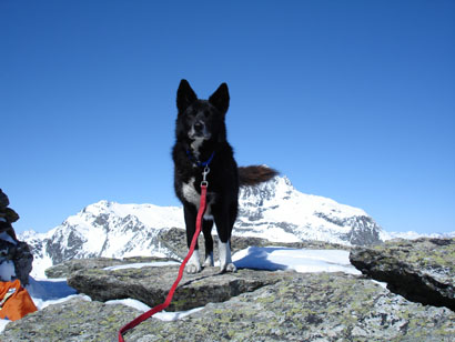 Luna si mette in posa.