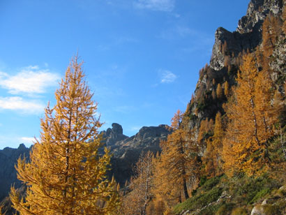 Colori d'autunno.