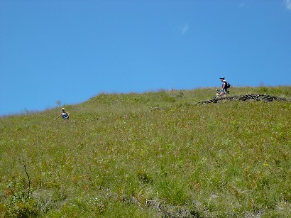 Fra i prati si snodano i numerosi tornanti che scendono dal Rifugio Giovo e portano verso l'abitato di Garzeno.
