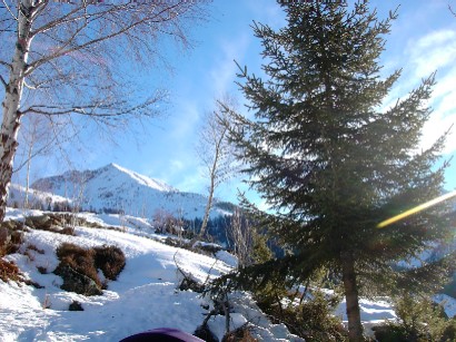 La meta si intravede fra gli alberi...