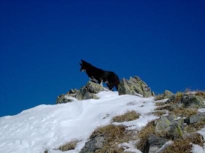 Luna che scruta cosa succede nella valle sottostante...