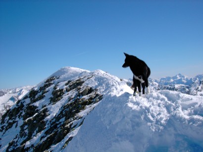 Anche Luna ha raggiunto la cima.