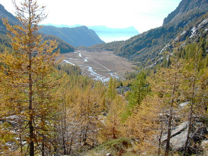 La piana di Predarossa avvolta dai colori d'autunno.