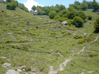 Un tratto di sentiero in Val Cavargna.