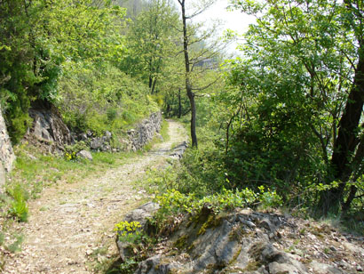 Sentiero che porta alla discesa di Porcido.