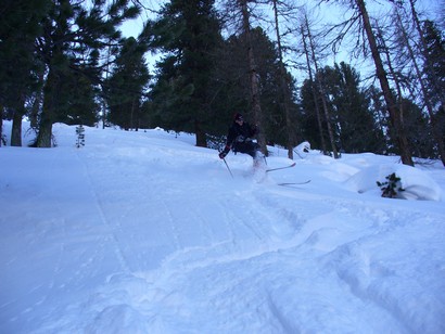 Sergio si diverte nel bosco.