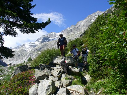Nicola, Fulvio, Sergio e Beba.