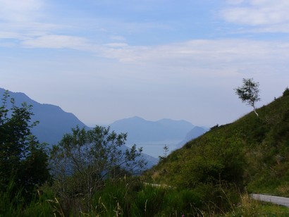 Il Lago di Lugano spunta fra le fronde.