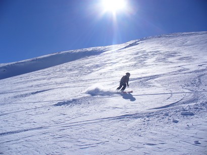 Bea in azione.