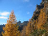 Colori d'autunno.