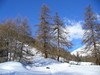 Tratto iniziale del percorso in direzione del Passo Albula.