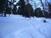 Sergio si diverte nel bosco.