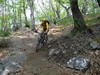 Tratto di discesa tecnica nel bosco.