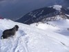 Uno sguardo in basso prima di partire per la discesa...