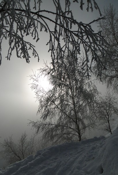 Il sole sta bucando la nebbia.