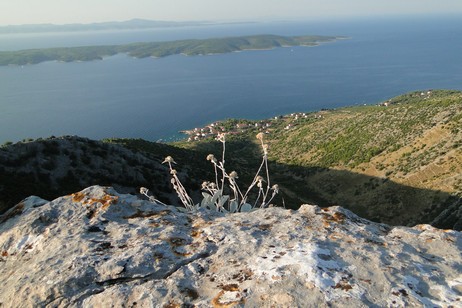 Vista su Zavala.