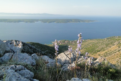 Vista su Zavala.