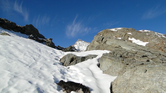 Il Tambò spunta fra le rocce.