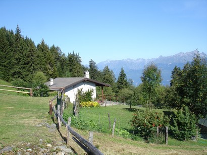 Erdona.