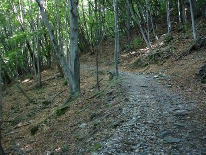 Discesa verso Cureggia.