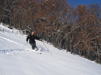 Ancora tante foglie sui faggi in un paesaggio invernale.