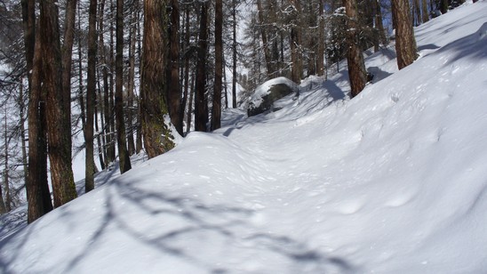 Nel bosco sopra Guarda in direzione capanna Tuoi.