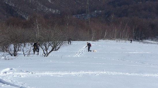 Sgranati verso Orimento.