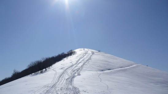 Senza togliere le pelli verso l'alpe.