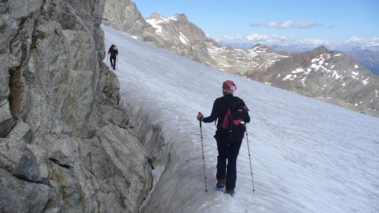 Pascolando sul Fellaria.