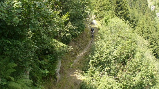 Single track erboso...