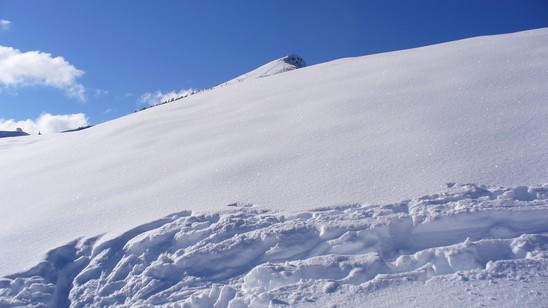 Cima Rosetta fa capolino dietro il motto.