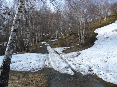 Ancora tracce di neve attorno ai 1000/1100 m.