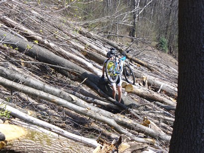 Passaggio difficoltoso a causa della grossa "tagliata" di alberi.
