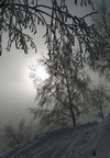 Il sole sta bucando la nebbia.