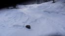 Beba si rotola nella neve.