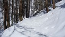 Nel bosco sopra Guarda in direzione capanna Tuoi.