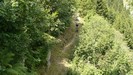 Single track erboso...
