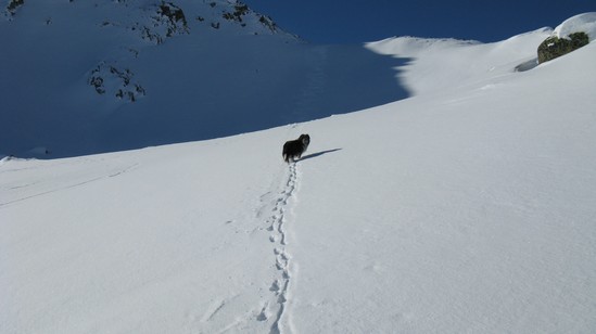 Allora... oltre che battere traccia devo anche aspettarvi.....(Beba).