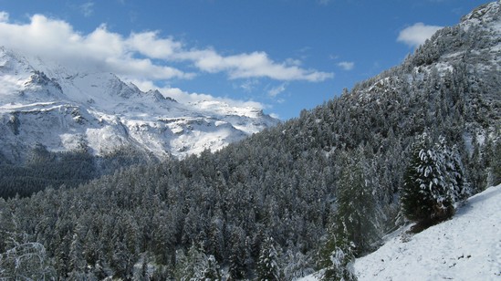 Ecco il paesaggio poco dopo la partenza.