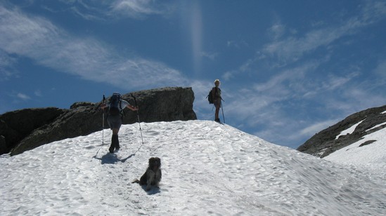 Ancora diversi nevai prima della cima.