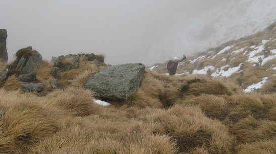 Fulvio quasi alla sella.