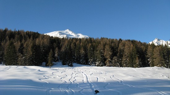 Fountana Grossa, qt 1920 mt.