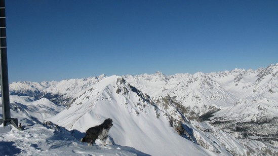 Beba. Sullo sfondo il Piz Daint.