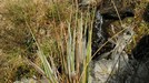 Giochi d'acqua.